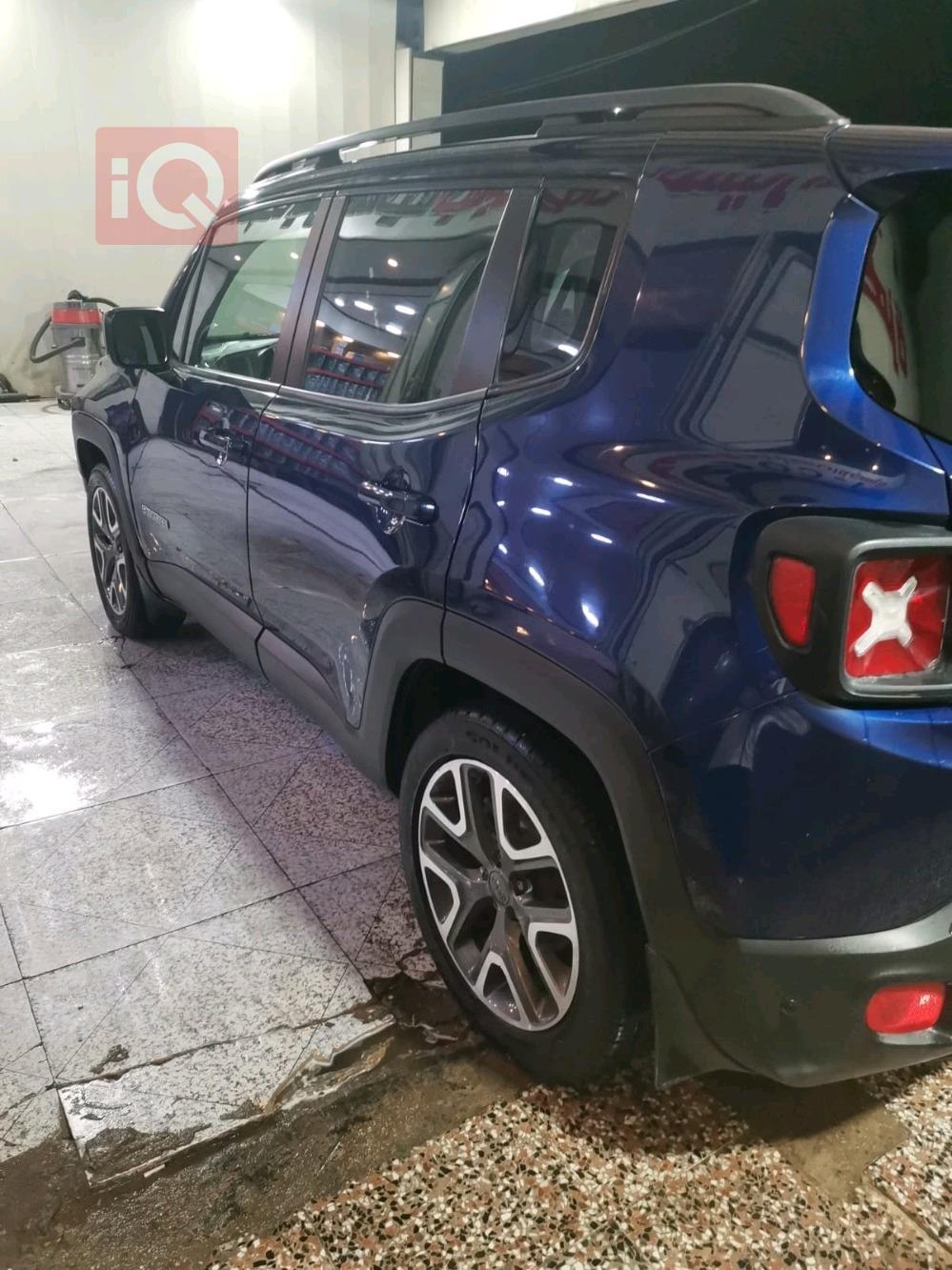 جيب رينيجيد